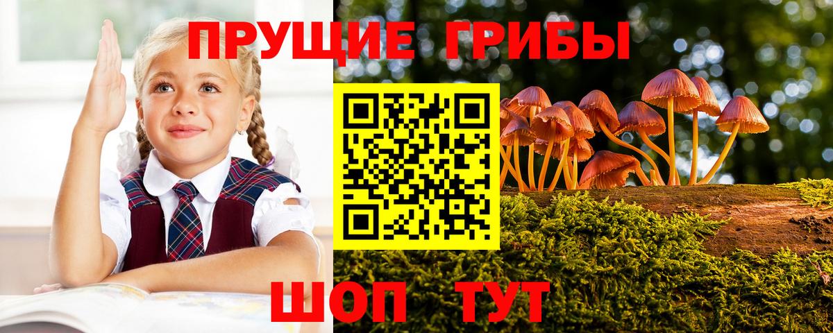 Нововоронеж  Псилоцибиновые грибы мицелий  Вход с VPN 